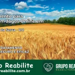 Tratamento Vício em Jogos Online em Mirante da Serra | Tigrinho, Aviator, Slots
