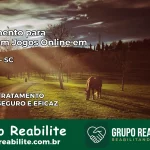 Tratamento Vício em Jogos Online em Mondaí | Tigrinho, Aviator, Slots