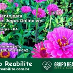 Tratamento Vício em Jogos Online em Monte Alegre | Tigrinho, Aviator, Slots