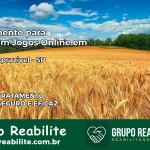 Tratamento Vício em Jogos Online em Monte Aprazível | Tigrinho, Aviator, Slots