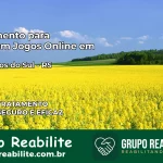 Tratamento Vício em Jogos Online em Morrinhos do Sul | Tigrinho, Aviator, Slots