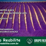 Tratamento Vício em Jogos Online em Neves Paulista | Tigrinho, Aviator, Slots