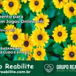 Tratamento Vício em Jogos Online em Nova Palma | Tigrinho, Aviator, Slots