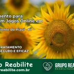 Tratamento Vício em Jogos Online em Novo Oriente do Piauí | Tigrinho, Aviator, Slots