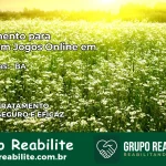 Tratamento Vício em Jogos Online em Palmeiras | Tigrinho, Aviator, Slots