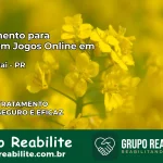 Tratamento Vício em Jogos Online em Paranavaí | Tigrinho, Aviator, Slots