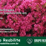 Tratamento Vício em Jogos Online em Parari | Tigrinho, Aviator, Slots