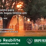 Tratamento Vício em Jogos Online em Pedreiras | Tigrinho, Aviator, Slots