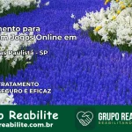 Tratamento Vício em Jogos Online em Pedrinhas Paulista | Tigrinho, Aviator, Slots