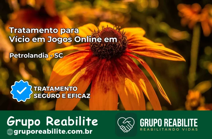 Tratamento Vício em Jogos Online em Petrolândia | Tigrinho, Aviator, Slots