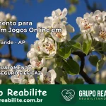Tratamento Vício em Jogos Online em Porto Grande | Tigrinho, Aviator, Slots
