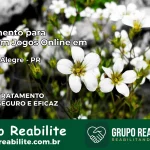 Tratamento Vício em Jogos Online em Rancho Alegre | Tigrinho, Aviator, Slots