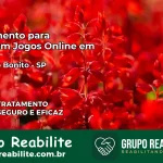 Tratamento Vício em Jogos Online em Ribeirão Bonito | Tigrinho, Aviator, Slots