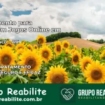 Tratamento Vício em Jogos Online em Rio Branco | Tigrinho, Aviator, Slots