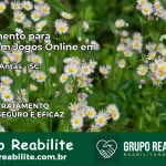 Tratamento Vício em Jogos Online em Rio das Antas | Tigrinho, Aviator, Slots