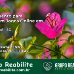 Tratamento Vício em Jogos Online em Rio do Sul | Tigrinho, Aviator, Slots