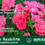 Tratamento Vício em Jogos Online em Rio dos Cedros | Tigrinho, Aviator, Slots