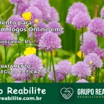 Tratamento Vício em Jogos Online em Roque Gonzales | Tigrinho, Aviator, Slots