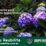 Tratamento Vício em Jogos Online em Sambaíba | Tigrinho, Aviator, Slots