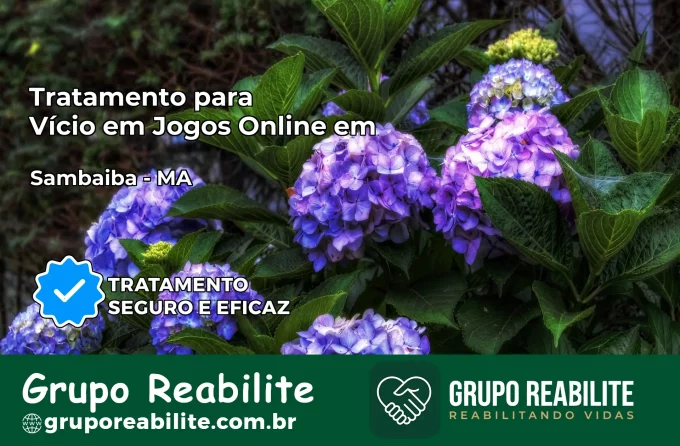 Tratamento Vício em Jogos Online em Sambaíba | Tigrinho, Aviator, Slots
