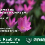 Tratamento Vício em Jogos Online em Santa Lúcia | Tigrinho, Aviator, Slots