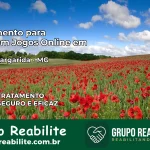 Tratamento Vício em Jogos Online em Santa Margarida | Tigrinho, Aviator, Slots