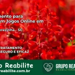 Tratamento Vício em Jogos Online em Santa Terezinha | Tigrinho, Aviator, Slots