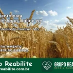 Tratamento Vício em Jogos Online em Santo Antônio do Itambé | Tigrinho, Aviator, Slots