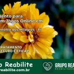 Tratamento Vício em Jogos Online em Santo Antônio dos Milagres | Tigrinho, Aviator, Slots