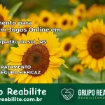 Tratamento Vício em Jogos Online em Santo Expedito do Sul | Tigrinho, Aviator, Slots