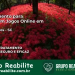 Tratamento Vício em Jogos Online em São Carlos | Tigrinho, Aviator, Slots