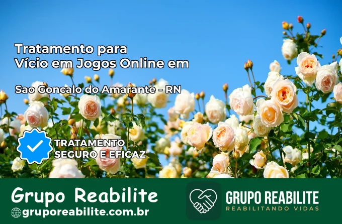 Tratamento Vício em Jogos Online em São Gonçalo do Amarante | Tigrinho, Aviator, Slots