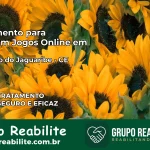 Tratamento Vício em Jogos Online em São João do Jaguaribe | Tigrinho, Aviator, Slots