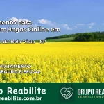 Tratamento Vício em Jogos Online em São José da Bela Vista | Tigrinho, Aviator, Slots