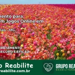 Tratamento Vício em Jogos Online em São Romão | Tigrinho, Aviator, Slots