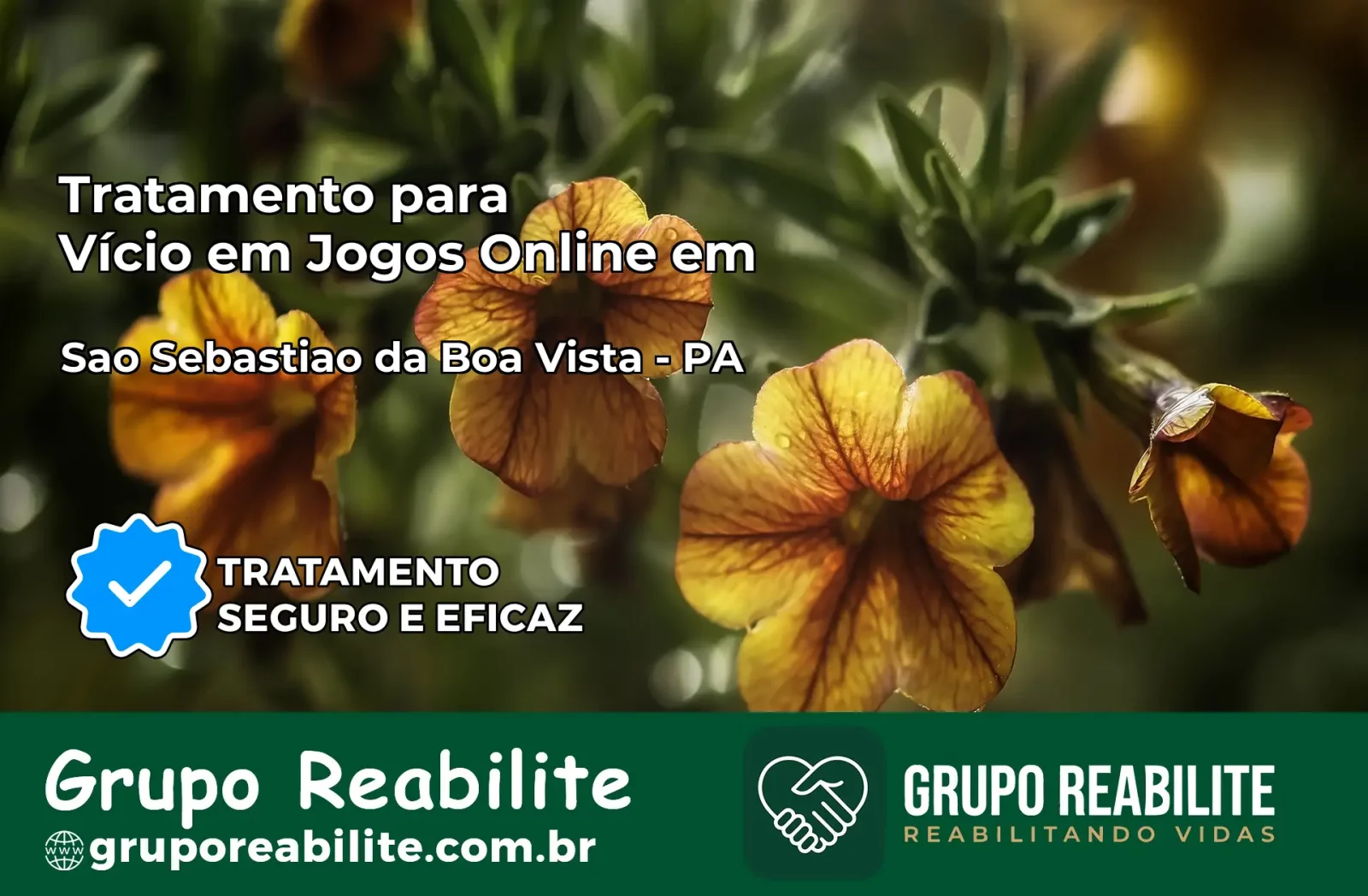 Tratamento Vício em Jogos Online em São Sebastião da Boa Vista | Tigrinho, Aviator, Slots