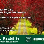 Tratamento Vício em Jogos Online em São Sebastião da Vargem Alegre | Tigrinho, Aviator, Slots