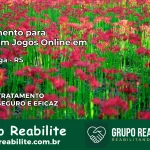 Tratamento Vício em Jogos Online em Sapiranga | Tigrinho, Aviator, Slots