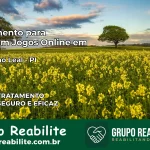 Tratamento Vício em Jogos Online em Sebastião Leal | Tigrinho, Aviator, Slots