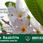Tratamento Vício em Jogos Online em Sorriso | Tigrinho, Aviator, Slots