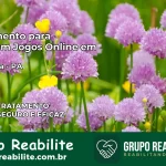 Tratamento Vício em Jogos Online em Tailândia | Tigrinho, Aviator, Slots