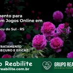Tratamento Vício em Jogos Online em Taquaruçu do Sul | Tigrinho, Aviator, Slots