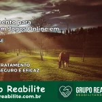 Tratamento Vício em Jogos Online em Telha | Tigrinho, Aviator, Slots