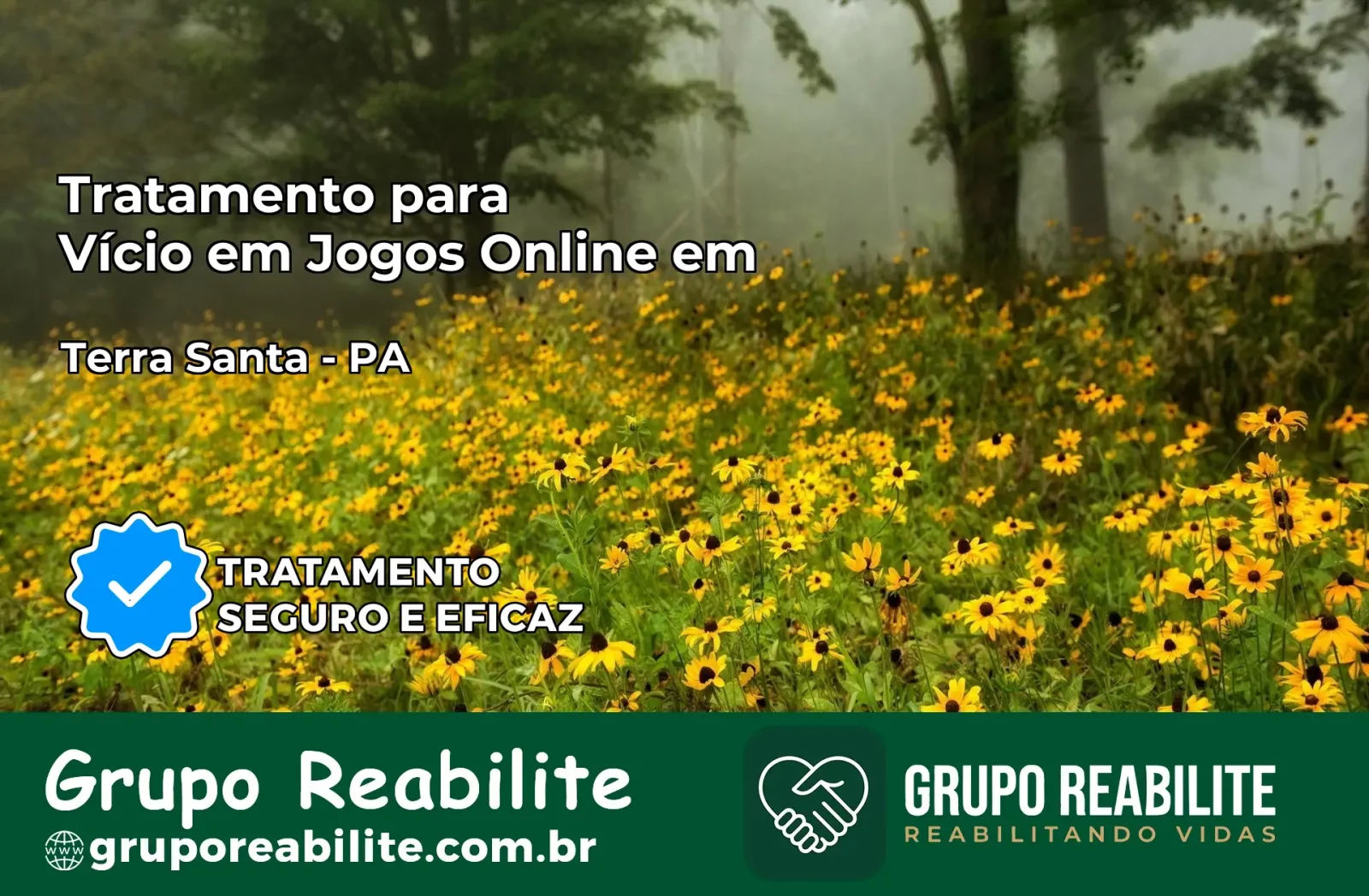Tratamento Vício em Jogos Online em Terra Santa | Tigrinho, Aviator, Slots