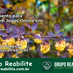 Tratamento Vício em Jogos Online em Três Barras | Tigrinho, Aviator, Slots